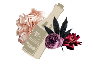 Poison bottle between flowers and cannabis leaf