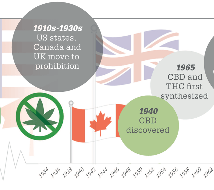 cannabis research articles