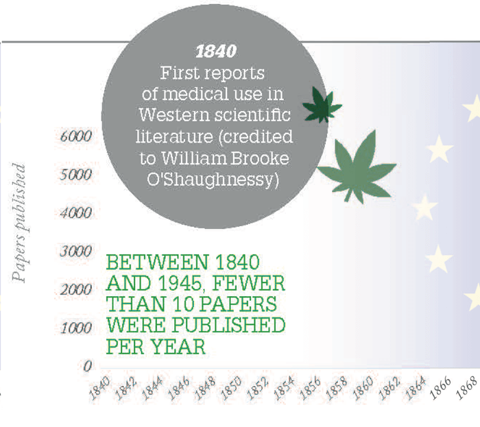 research article about cannabis